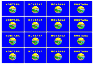 x12 Montana MT State Flag Car Truck Window Bumper Laptop Cooler Decal Sticker - OwnTheAvenue
