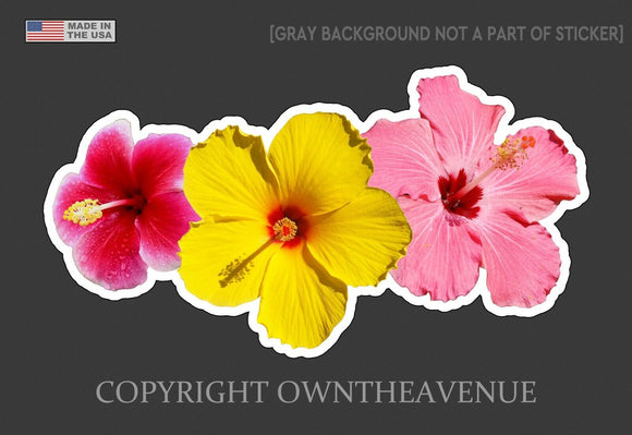Hawaiian Hibiscus Flowers Bookey Sticker Car Window Truck Vinyl Decal 4