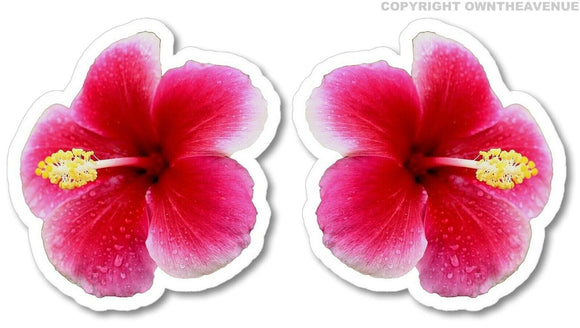Hawaiian Hibiscus Flower Sticker Car Window Truck Vinyl Decal 2 PACK V-DRP42 - OwnTheAvenue