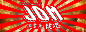 JDM Power Kanji Japanese Sun Rays Racing Drifting Drag Box Slap Sticker Z1J89 - OwnTheAvenue