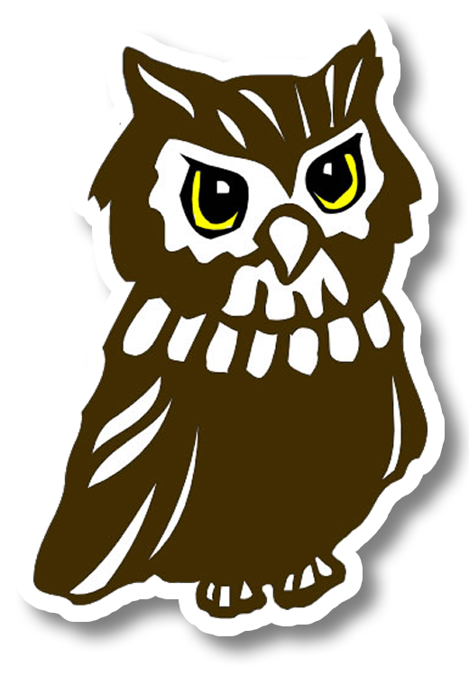 Owl Bird Animal JDM Racing Drifting Drift Drag Funny Cute Vinyl Sticker 4