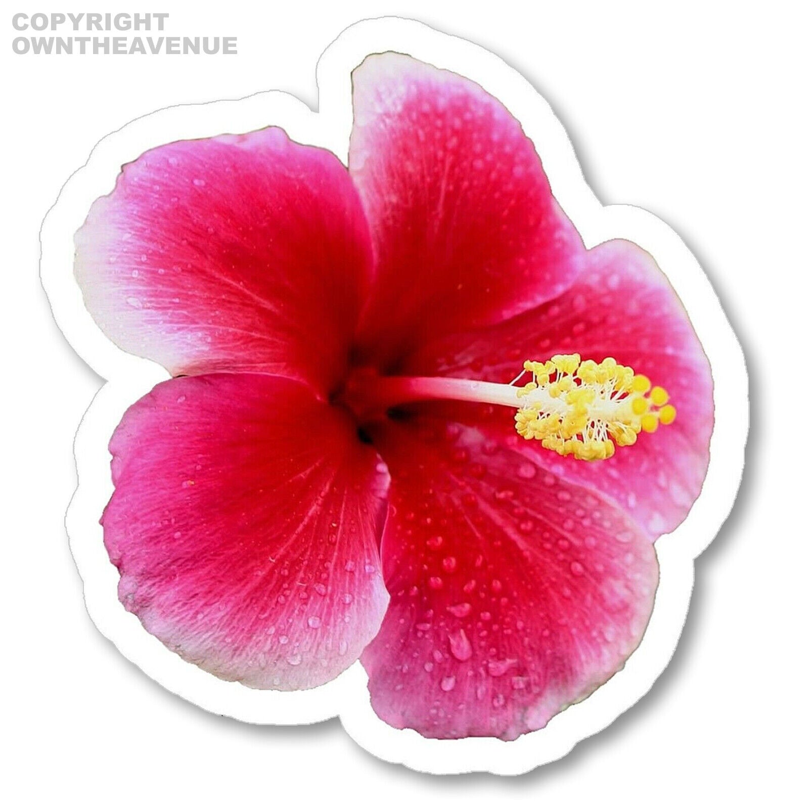 Hibiscus Flower Hawaiian Car Truck Window Laptop Vinyl Decal Sticker (Hot Pink Green) In | Whizz Decals - Foto 6