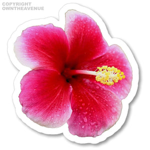 Hawaiian Hibiscus Flower Sticker Car Window Truck Vinyl Sticker Decal 3.5" DrkWt