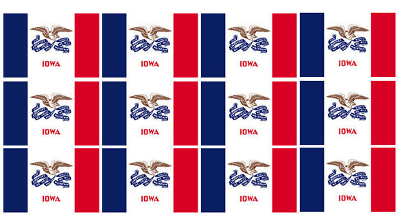 Iowa IA Flag Vinyl Stickers - 12 Pack