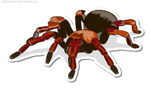 Tarantula Spider Car Truck JDM Cartoon Style Window Bumper Vinyl Sticker 3.5"