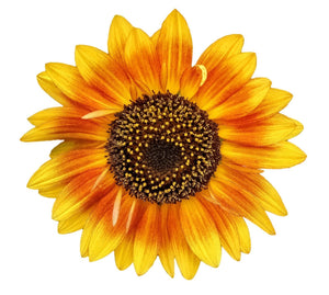 4" Yellow Sunflower Vinyl Sticker Sun Flower Laptop Car Vehicle Window Bumper - OwnTheAvenue