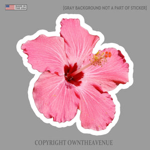 Hawaiian Hibiscus Flower Sticker Car Window Truck Vinyl Decal 3.5" #LghtPinkRght