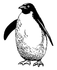 Penguin Animal Vinyl Sticker Car Auto Bumper Indie Vintage JDM Style 3.5" - OwnTheAvenue