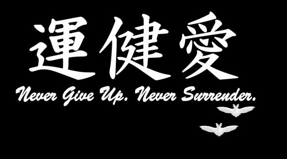 Never Give Up, Never Surrender JDM Kanji Japanese Japan Vinyl Decal Sticker 6
