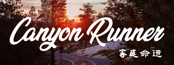 Canyon Runner JDM Vinyl Box Sticker Racing Drifting 8